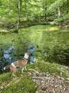 IMG_9407.jpeg