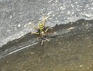 IMG_2711.jpeg