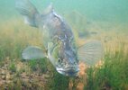 DSC03693a.JPG
