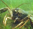 DSC03779a.JPG