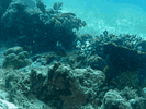 IMG_1571.gif