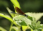 IMG_8940.JPG
