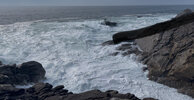 IMG_9699.jpeg