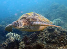 IMG_1804.jpeg