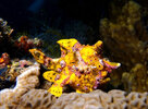 IMG_1805.jpeg