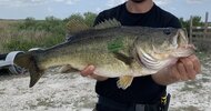 IMG_6130.jpeg