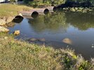 IMG_8625.jpeg