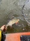 IMG_4131.jpeg
