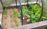 IMG_20250518_111211.jpg