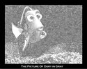 IMG_0811.jpeg