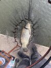 IMG_3385.jpeg
