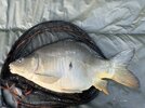 IMG_3400.jpeg