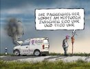 IMG_7117.jpeg