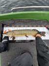 IMG_9353.jpeg