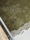 IMG_2976.jpeg
