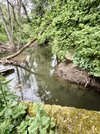 IMG_20250525_151659~2.jpg