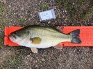 IMG_5551.jpeg