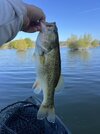 IMG_5559.jpeg