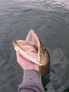 20250506_184247.jpg