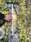 IMG_3864.jpeg