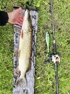 IMG_3881.jpeg