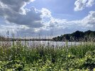 IMG_3886.jpeg