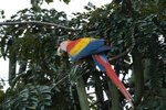 DSC03901 - Bearbeitet.jpg