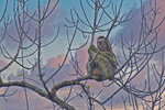 DSC04530 - Bearbeitet2.jpg