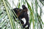 DSC04541 - Bearbeitet.jpg