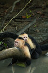 DSC05776  - Bearbeitet.jpg