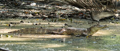 DSC05823  - Bearbeitet.jpg