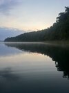 IMG_1184.jpeg