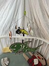 IMG_3248.jpeg