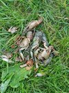 20250519_202931.jpg