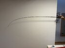 IMG_0899.jpeg