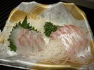 IMG_3260.jpeg