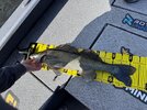 IMG_5399.jpeg