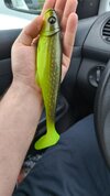 IMG-20250528-WA0009.jpeg