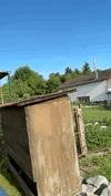 8E515239-81EF-4FC8-AF22-19BFBBE2CED5.gif