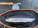IMG_7884.jpeg