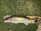 IMG_9030.jpeg