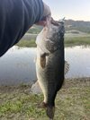 IMG_5641.jpeg