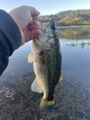 IMG_5642.jpeg