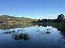 IMG_5643.jpeg