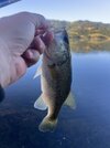 IMG_5644.jpeg