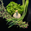 2 Kräuterpesto 250530.JPG