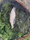 IMG_7314.jpeg