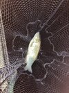 IMG_7315.jpeg