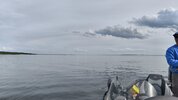 IMG-20250531-WA0004.jpeg