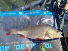 IMG_20250515_105209.jpg